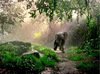 0_eco_elephant 0_eco_elephant