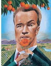 Schwarzygreen Schwarzygreen