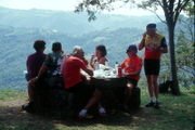 Picnic_1