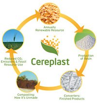 Chart_circleoflife_thumb