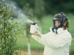 R_pesticide_spray R_pesticide_spray
